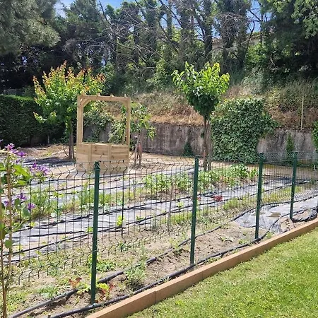 En Provence Avec Piscine Au Sel